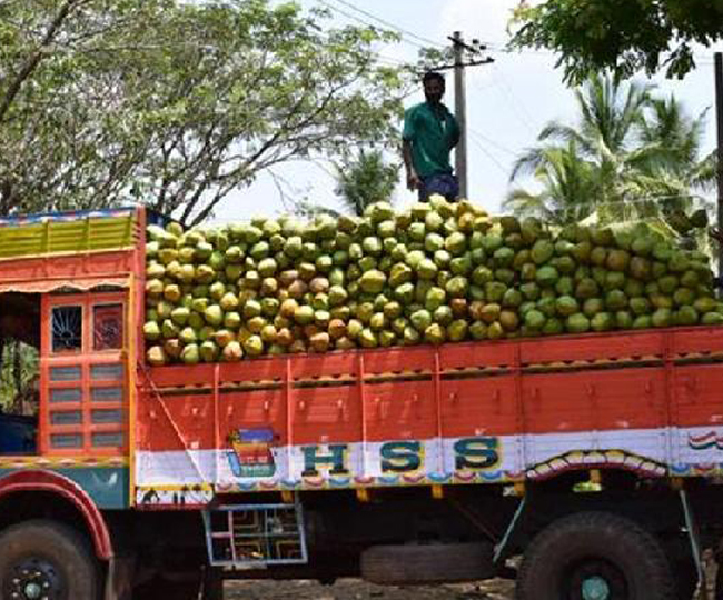 छठ पर्व नारियल इसलिए महंगा हो गया, बाढ़ट्रैफि‍क रूट का भी असर